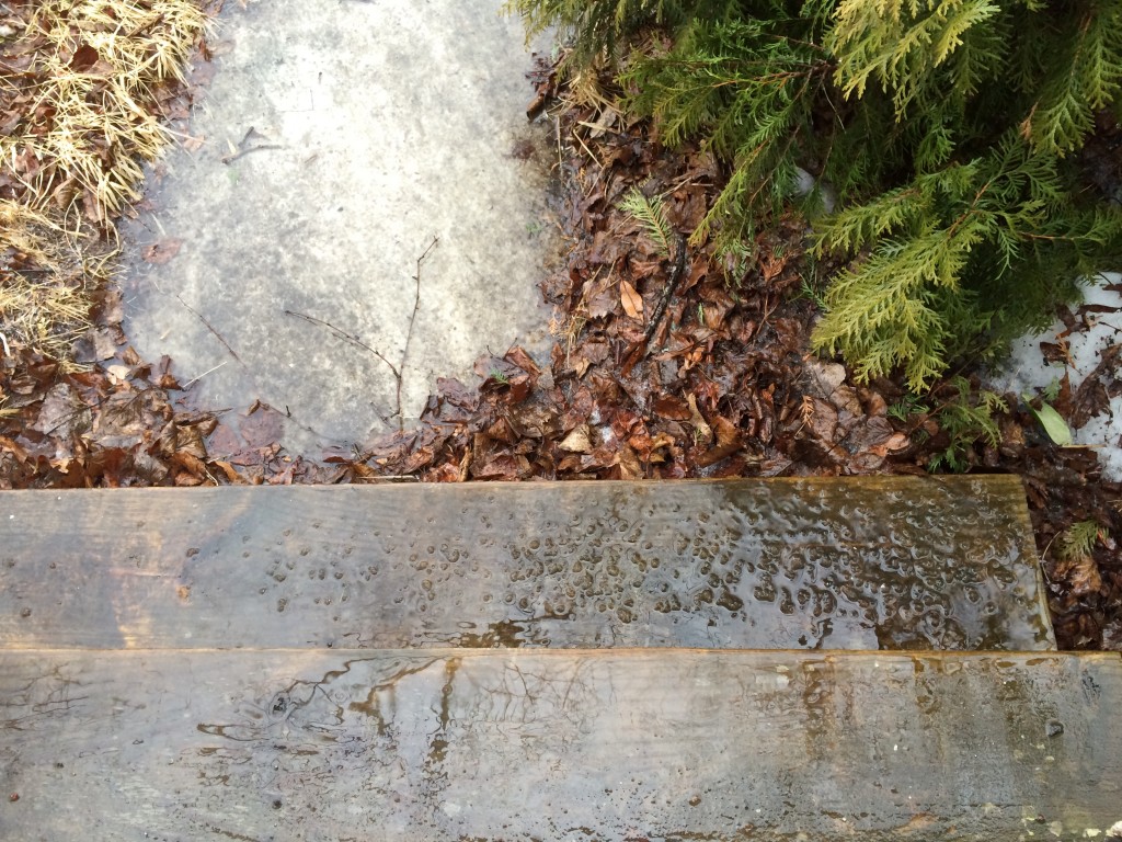 March Hail on Steps