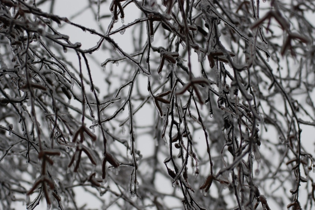 2008_icestorm