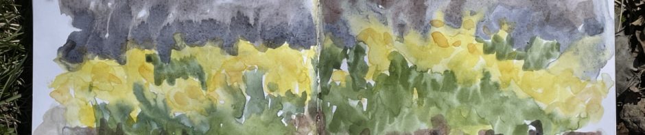 Second Painting of daffodils