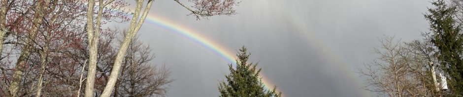 rainbow, double rainbow