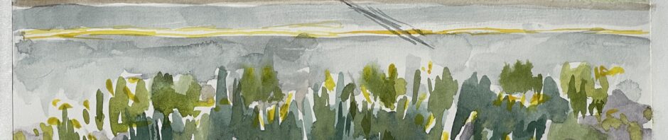 watercolor painting showing a garden with suggestions of daffodil crumps and a few flowers with road behind and across the way a telephone pole casting a thin shadow on the road.