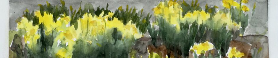 watercolor painting of a garden of daffodils - yellow above green leaves. in background is road with double yellow line.