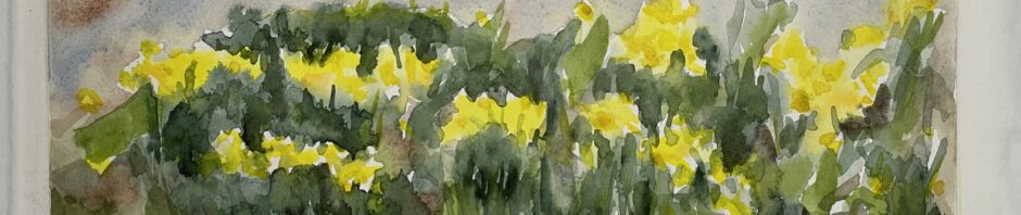 watercolor painting, rather impressionistic of daffodils and the clumps of green surrounding them. background above is mottled grey and browns.