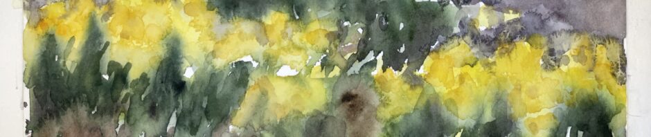 Watercolor painting, done very wet in wet to give impression of many daffodils. Yellows through middle horizonally with bluish-greens and some warmer greens. Greys and browns above and below.