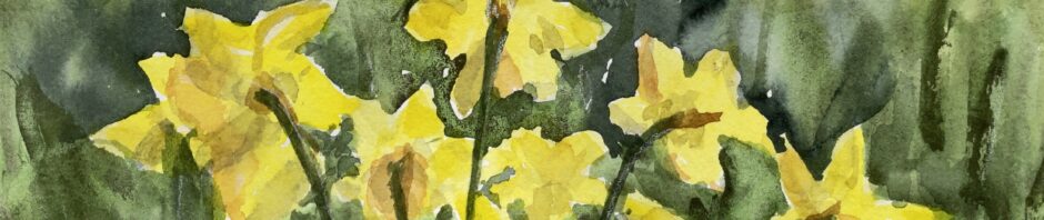 Watercolor painting. Yellow daffodils, all pointing face away from you, against multiple greens background.