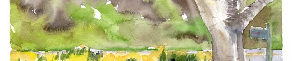 watercolor landscape showing my front yard - indication of the daffodils in the front garden with the first flower pots, the big birch tree trunks to the right. To the right of that, sneaking into view, my mailbox. Across the road everything is beige, brown and sap or leaf green. Blue sky peeks through above.
