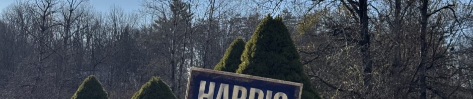 Square format photo of yard with official Harris-Walz campaign sign with black metal cat silhouette below. Trees bare of leaves form horizon with a couple conical firs in mid ground.