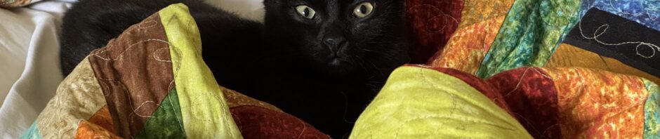 Photo: small black kitten, only its head appears in a nest of bright colored quilt.