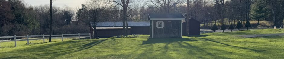 photo: landscape with bright green grass in foreground, some outbuildings in the middle and trees brushing a bright blue sunlit sky.
