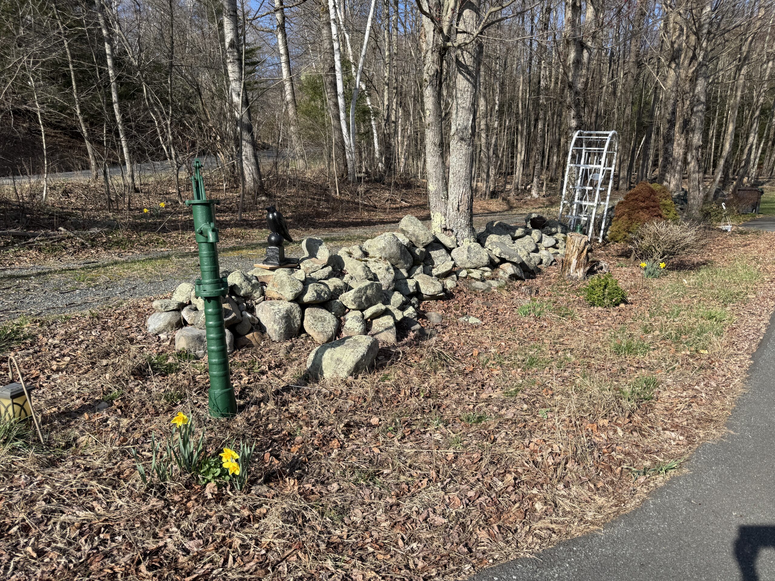 photo of a stone wall with brown leaf covered area in front and woods behind. A few daffodils bloom, one by a green metal water pump planted in the garden