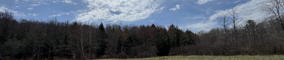 Landscape photo with sections of a white fence going from right corner into green field. Beyond some dark leafless woods and a blue sky with a variety of bright clouds.