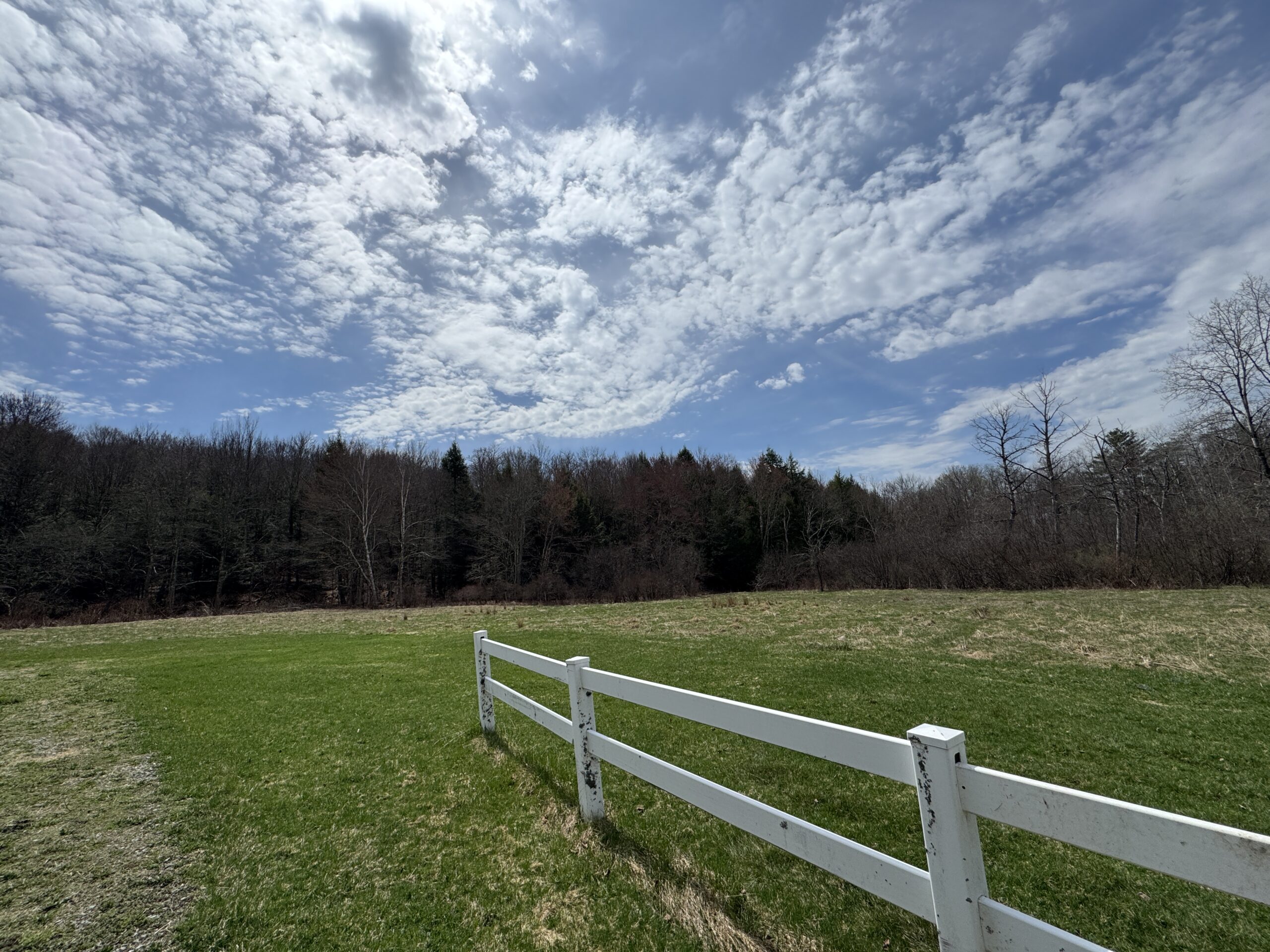 Landscape photo with sections of a white fence going from right corner into green field. Beyond some dark leafless woods and a blue sky with a variety of bright clouds.