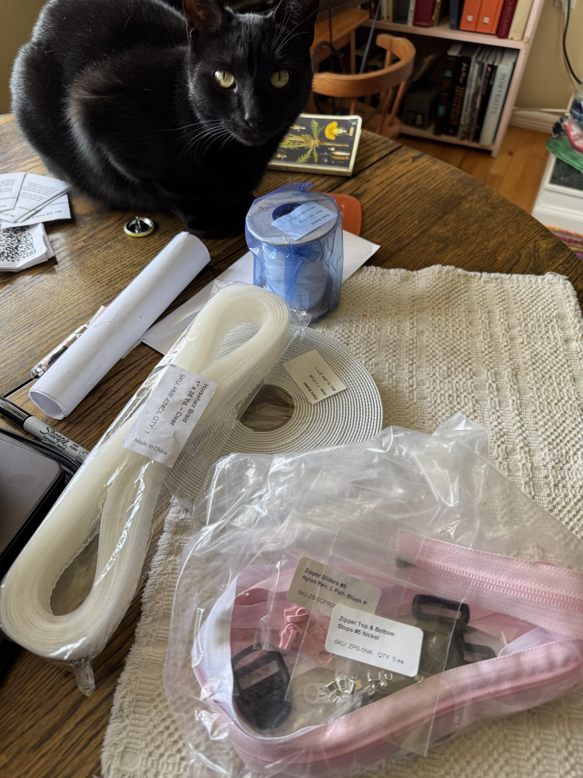 The Chief Inspector looks over my order of sewing supplies spread on the table - rolls of elastic and braid and some miscellaneous things in plastic bags - all checked out carefully by a black cat.