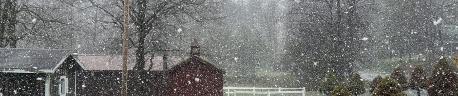 Landscape with a low barn red building on the left and a tree, with distant trees. There's a wet looking driveway in the mid ground with some small pines. In the air is a lot of snow.