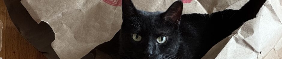 photo: black cat with head and feet sticking out of a brown paper grocery bag. Sitting on a wood floor with a cardboard "tudor" house behind.