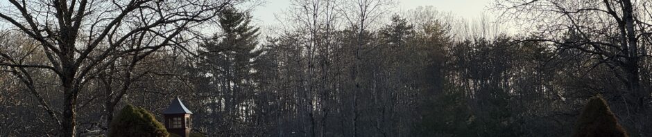 Photo: landscape with late evening sun running across bright green grass. In mid-ground, a couple red barn-like buildings. Behind them there's a white rail fence and then bare spring woods and a blue cloudless sky.